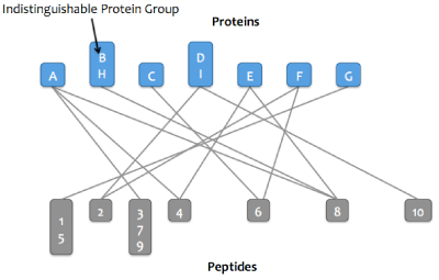 Protein Inference Step 2