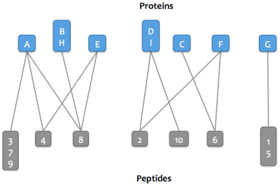 Protein Inference Step 3
