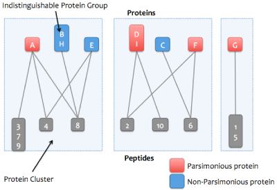 Protein Inference Step 4