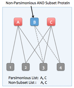 Non-parsimonious subset protein